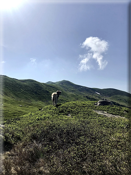 foto Parco dei Cento Laghi